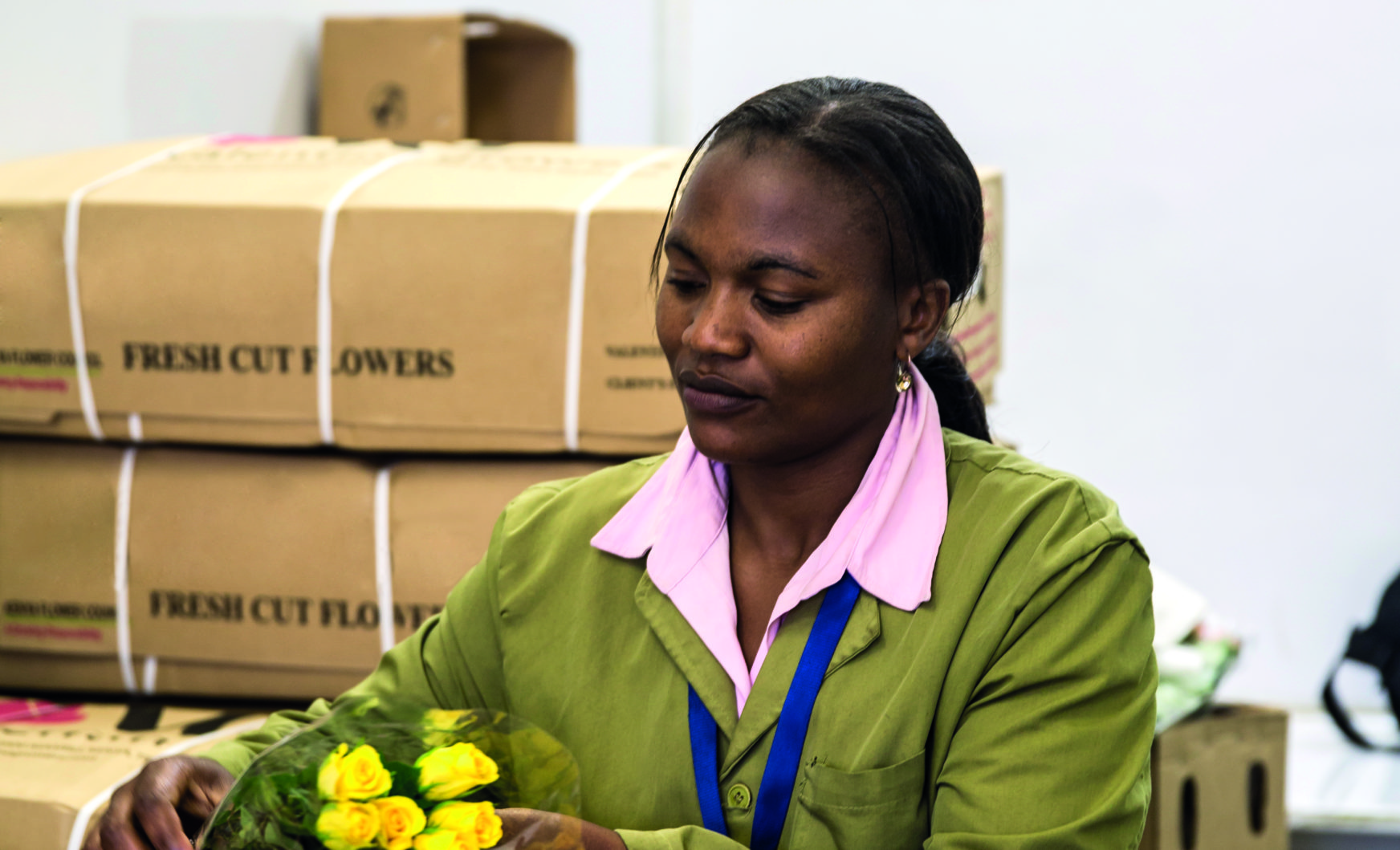 Panalpina takes over logistics company of Dutch Flower Group