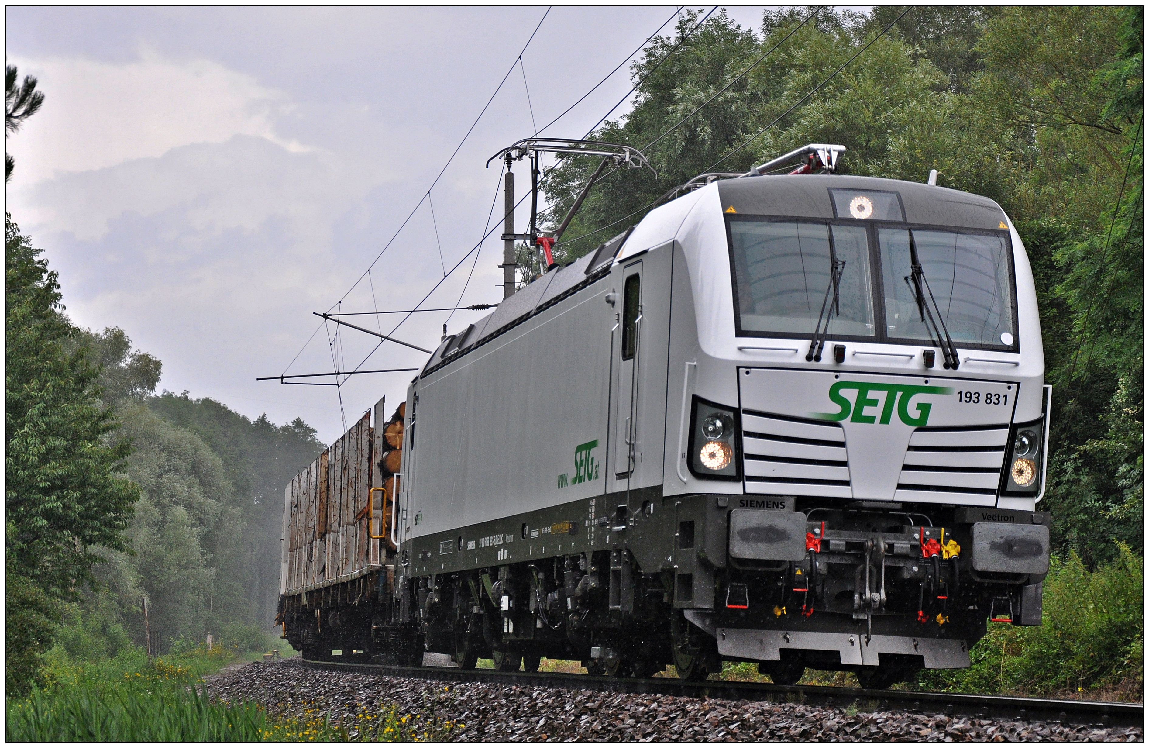 SETG rail logistics company is expanding its management board