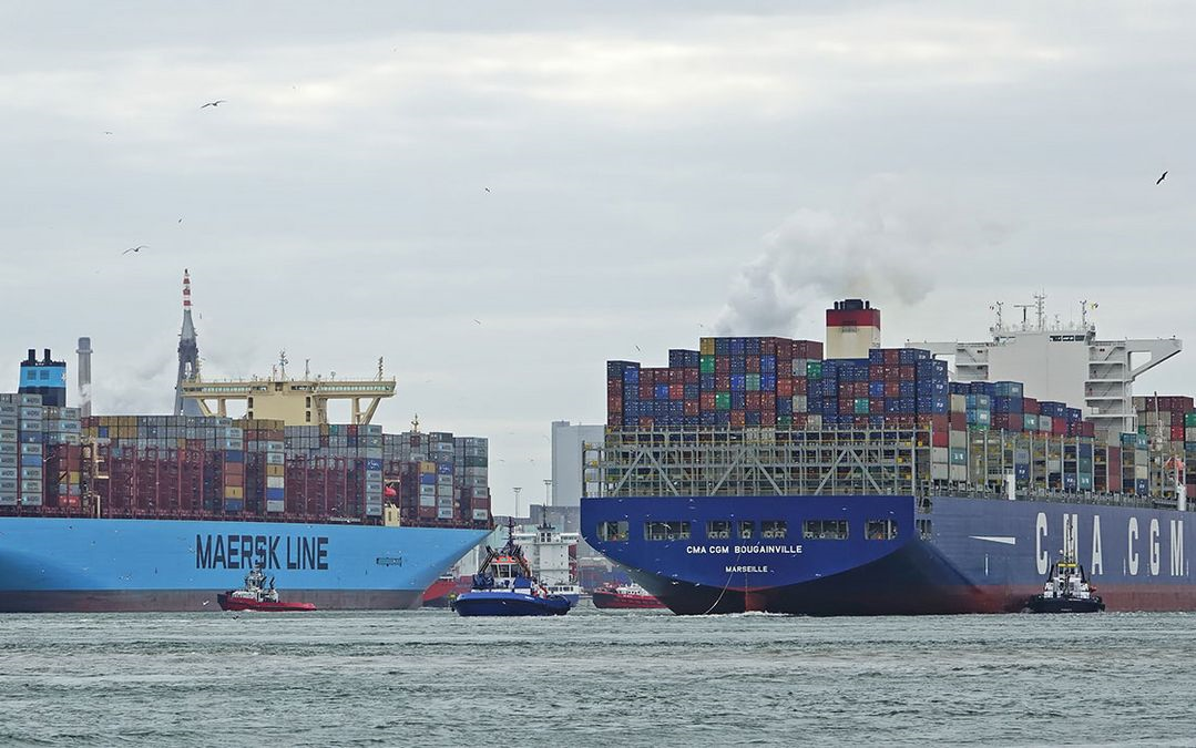 Hafen Rotterdam: Sattes Plus im Segment Container