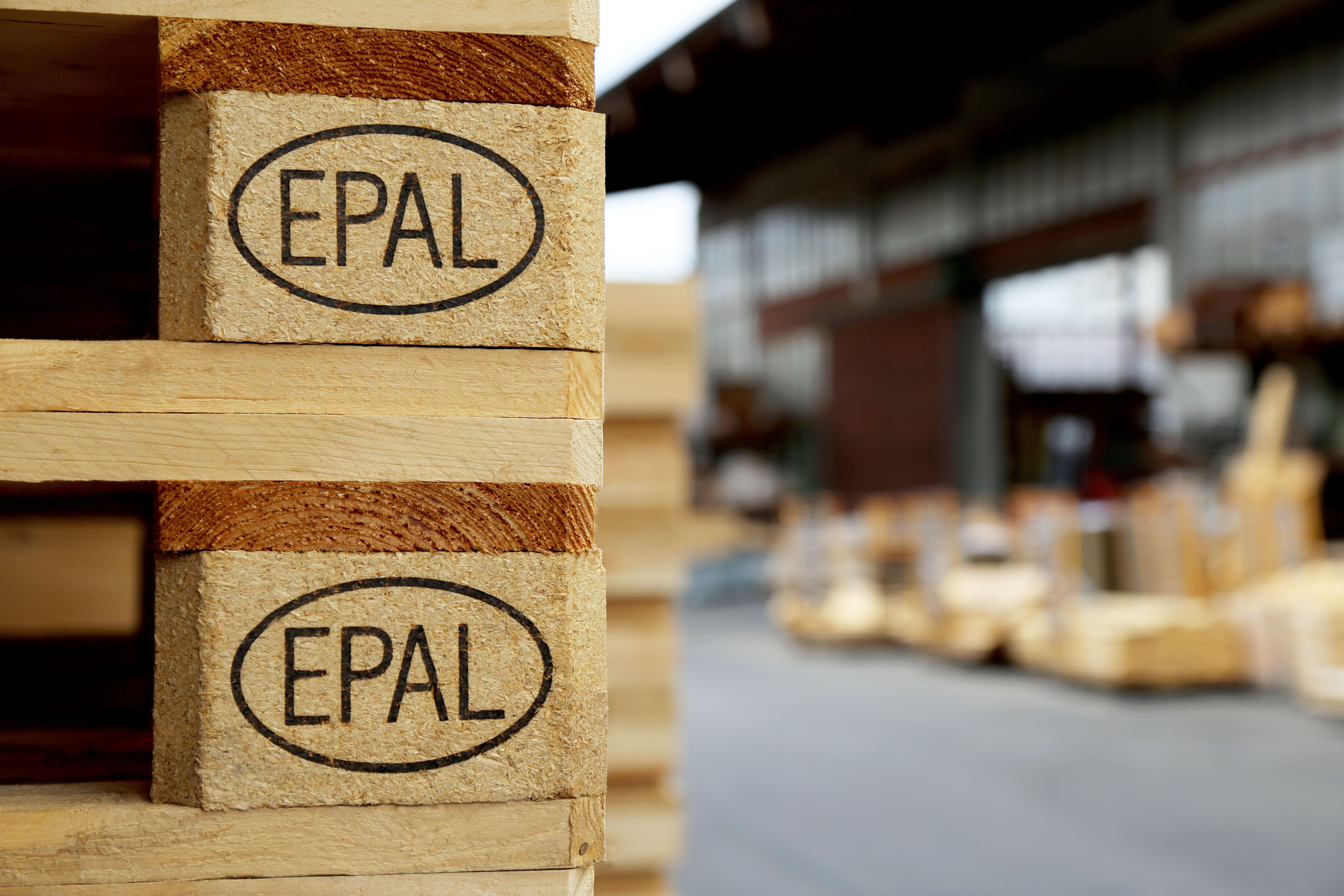 EPAL Euro pallets continue to rise