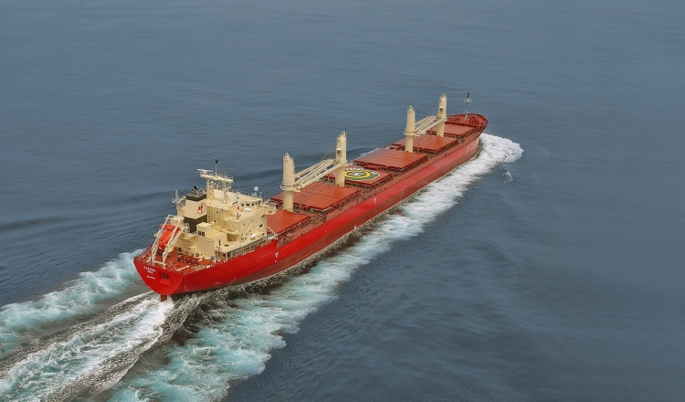 Fednav takes delivery of its 60th owned vessel