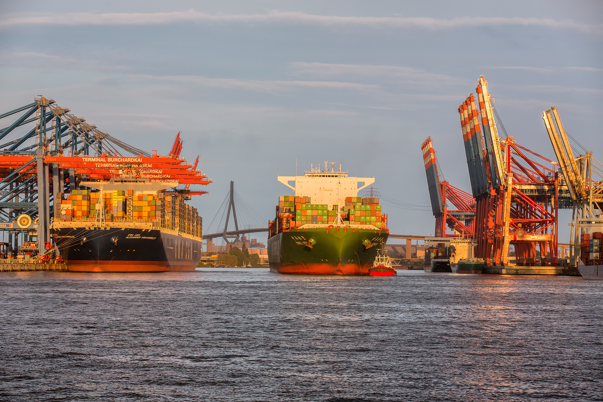 Immer mehr Großcontainerschiffe im Hamburger Hafen