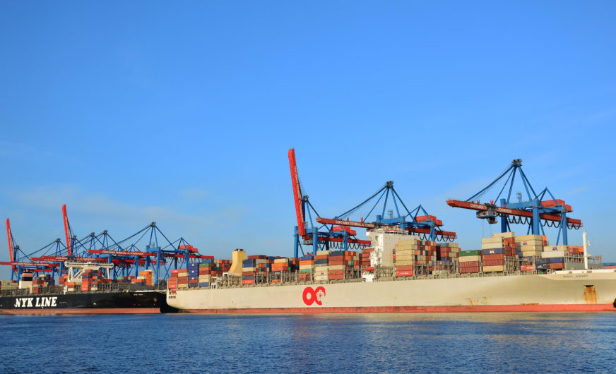 Stabilization of the seaborne cargo throughput in Hamburg port