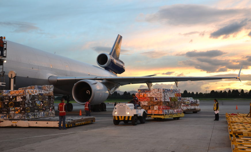 Produktinnovationen und Sparprogramm bei Lufthansa Cargo