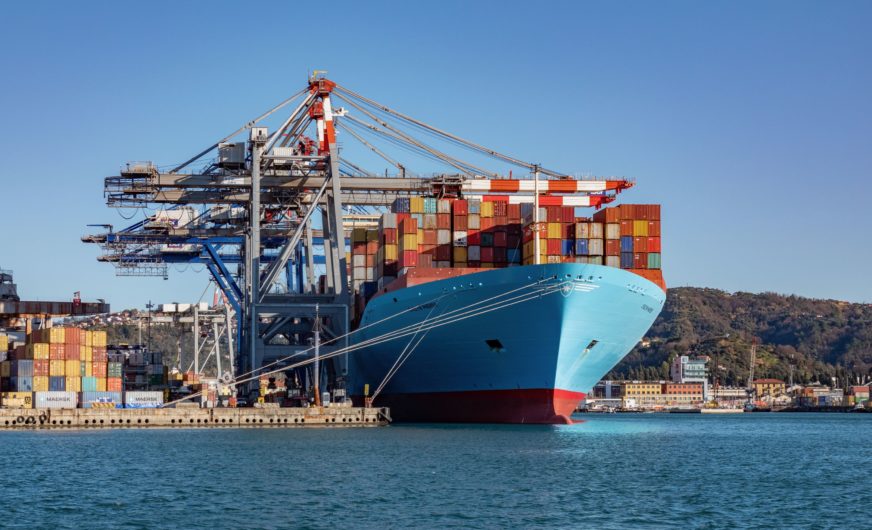 Maersk Ocean:  26,6 Mio. TEU im Jahr 2019