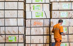 Hafen Antwerpen: Rekordladung Holz von Österreich nach Amerika