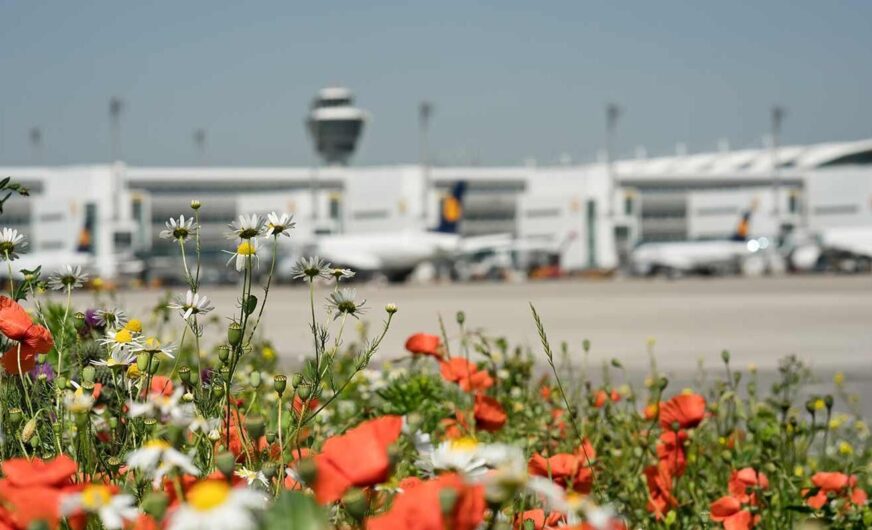 Flughafen München ist bis 2025 ein „Blühender Betrieb“