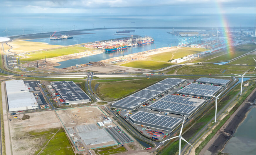 Hafen Rotterdam: Einbußen im Containerverkehr 