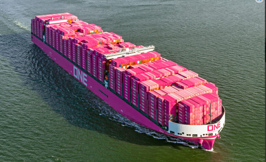 Hafen Hamburg: Mehr als 24.000 TEU in Magenta