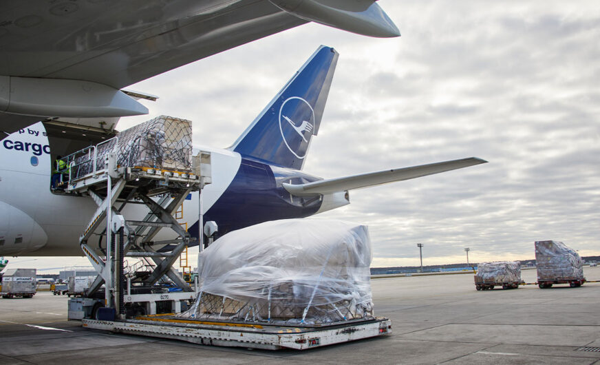 Lufthansa Cargo hatte 2024 viele Tiere an Bord