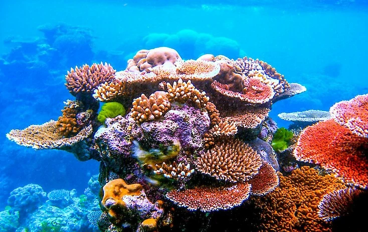 Komptech schützt Great Barrier Reef in Australien