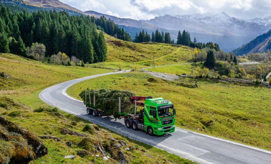 Schönbrunner Christbaum kommt aus dem Pinzgau