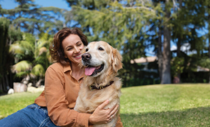 Emirates SkyCargo zeigt sich von ihrer tierischen Seite