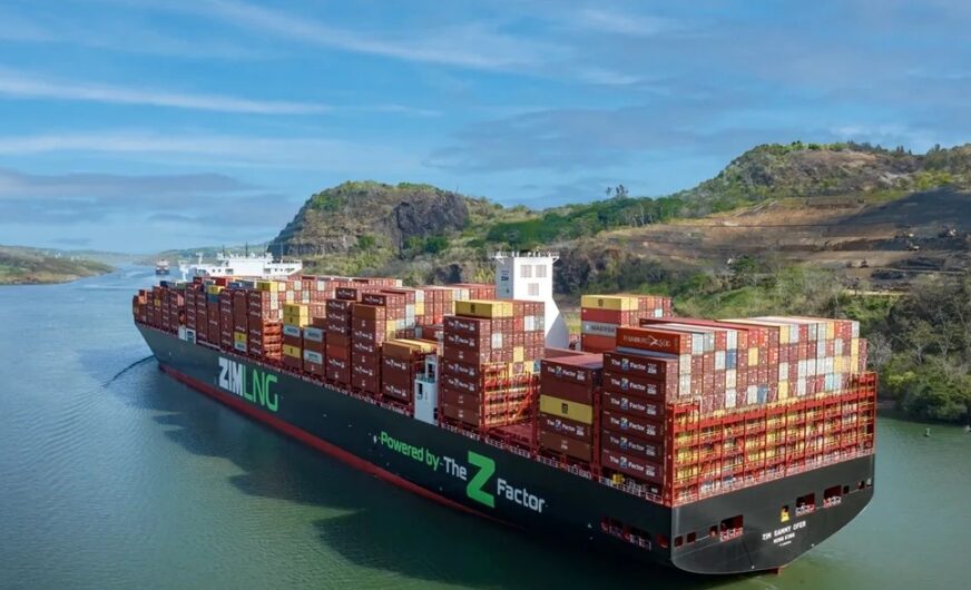 Globale Carrier matchen sich um Israels führende Containerlinie