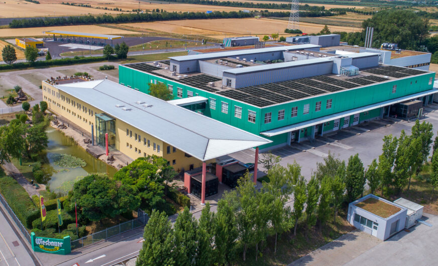 Wiesbauer bleibt zuversichtlich und investitionsfreudig