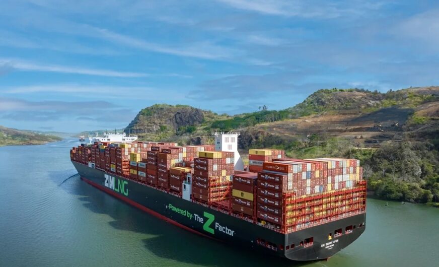 Mit ZIM hat Hapag-Lloyd einen „dicken Fisch“ geangelt