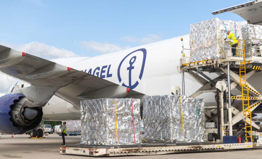 Kühne+Nagel erweitert globales „Cool Corridor“-Netzwerk