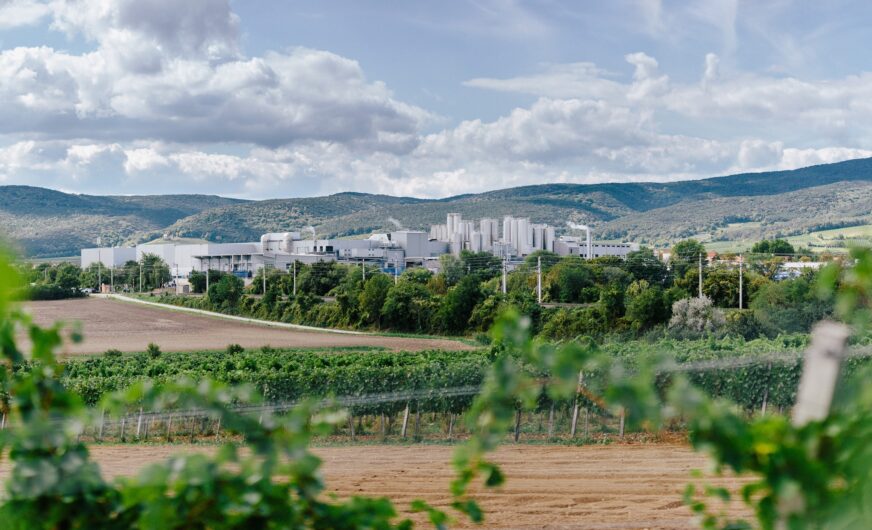 Neues WMS und WCS für die Logistik der NÖM AG