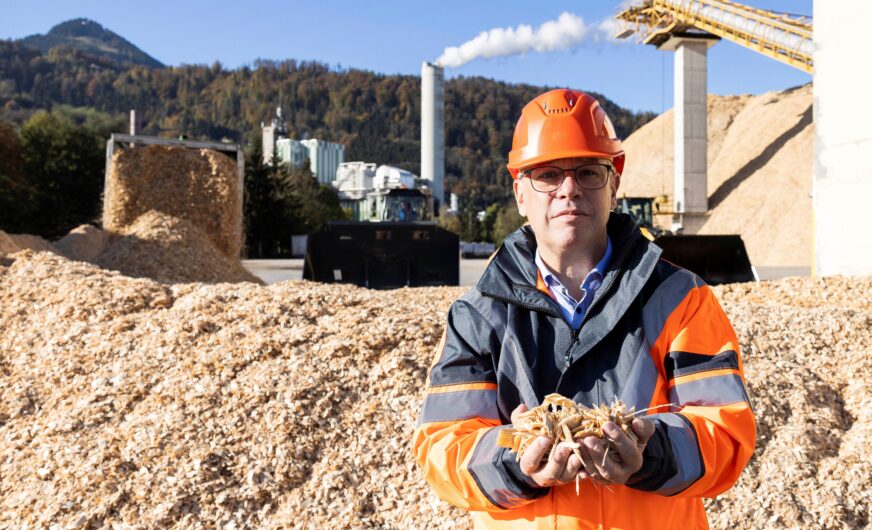 Steigende Holzpreise werden für AustroCel zur Standortfrage