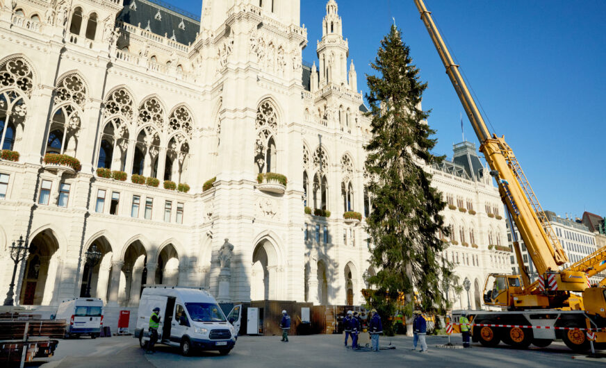 „Adventgabe“ aus Vorarlberg für den Wiener Christkindlmarkt